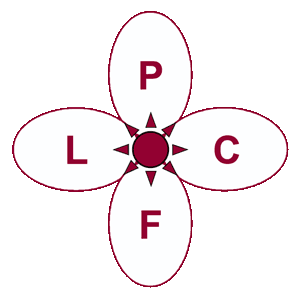 Organisation Logo 